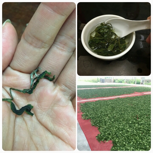 洳憶樓生態茶農園手作りの山のお茶