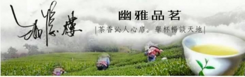 2016年洳忆楼生态茶园农场春茶采收期。